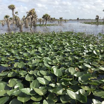 Swamp Donkey Airboat Rides - Boat Tours Near Me