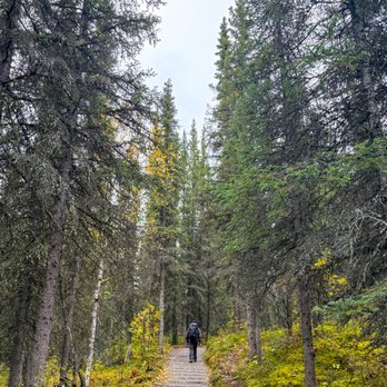 Denali National Park - Horseshoe Lake Trail - Hiking Near Me - Mckinley Park, Alaska