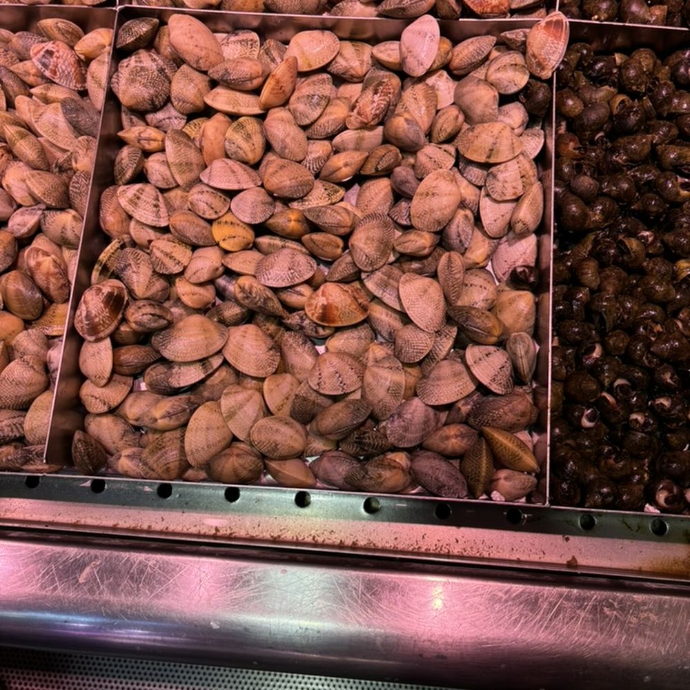 Mercado de la Esperanza - Clams and mussels - Farmers Market Near Me - Santander, S