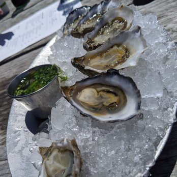 Hog Island Oyster - Fresh oysters - Seafood Near Me - Marshall, California Hog Island Oyster - Fresh oysters - Seafood Near Me - Marshall, California
