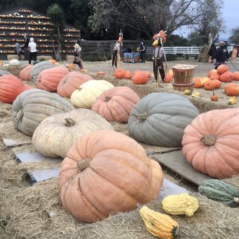 Borchard Farms - Pumpkin Patches Near Me - Salinas, California