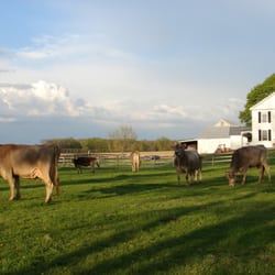 Maple Valley Creamery - So peaceful.