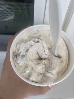 Ted Drewes Frozen Custard by null