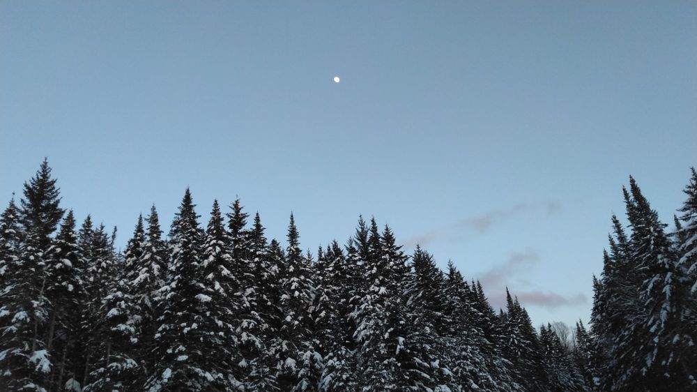 Young's Store, Pittsburg Roadtrippers