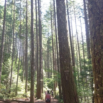 Eagle Creek Trail - Hiking Near Me - Bonneville, Oregon