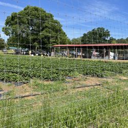 Waller Family Farm