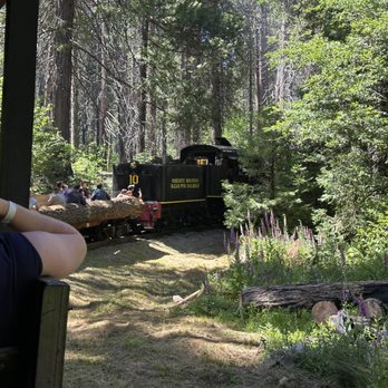 Yosemite Mountain Sugar Pine Railroad - Tours Near Me - Fish Camp, California