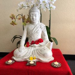 YogaSukham - Peace & Clarity