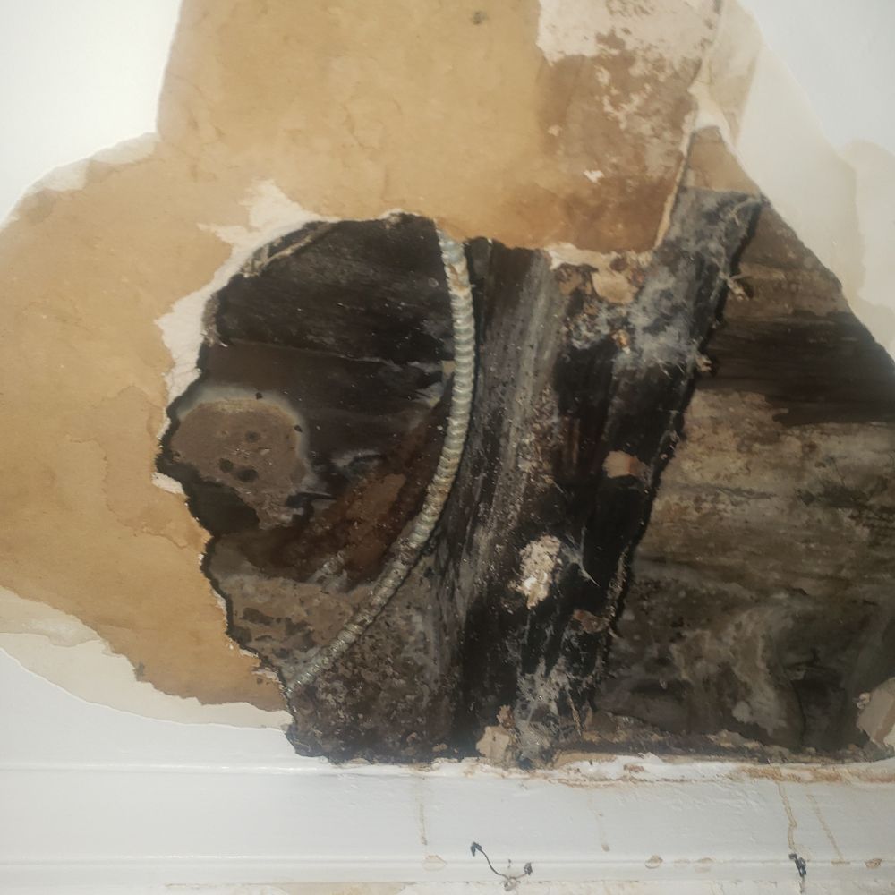 Slide of Rooter 99 Sewer & Drains