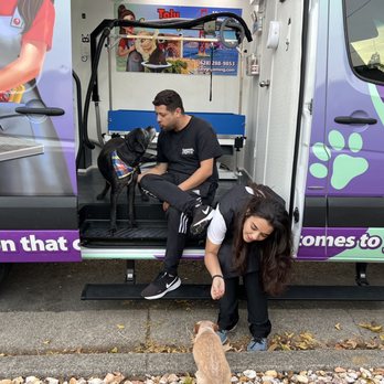 Taly Grooming - Pet Groomers Near Me - Sausalito, California Taly Grooming - Pet Groomers Near Me - Sausalito, California