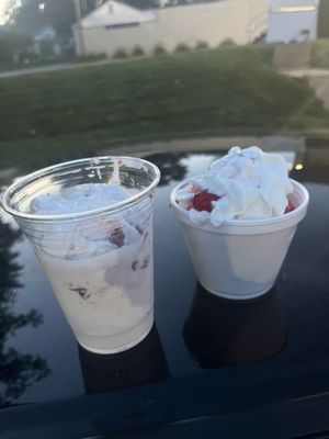 Mr Wizard's Frozen Custard and Yogurt by null