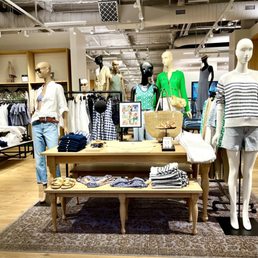 Store display