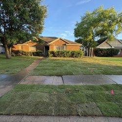 Arboreal Lawn & Landscape