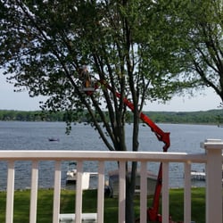 A Cut Above Tree Service and Landscaping