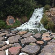 Photo of Golden Gate Park - San Francisco, CA, United States