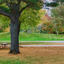 Springvale Campground - Site near game room and convenience store