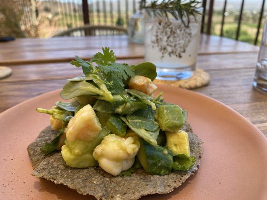 Envero en el Valle by null