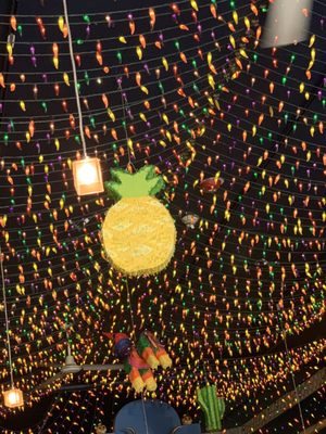 Taco Escobarr by null