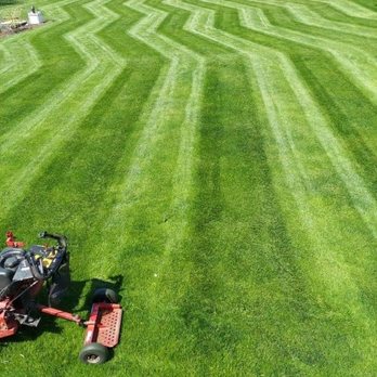 Future Lawns & Landscaping - Landscape Architects or Designers Near Me - Palo, Iowa Future Lawns & Landscaping - Landscape Architects or Designers Near Me - Palo, Iowa