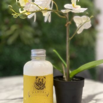 DaBoba Richardson - a potted plant and a bottle of liquid - Desserts Near Me - Richardson, Texas