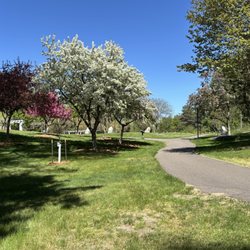 Central Park - Colorful trees and flower displays, and stones.