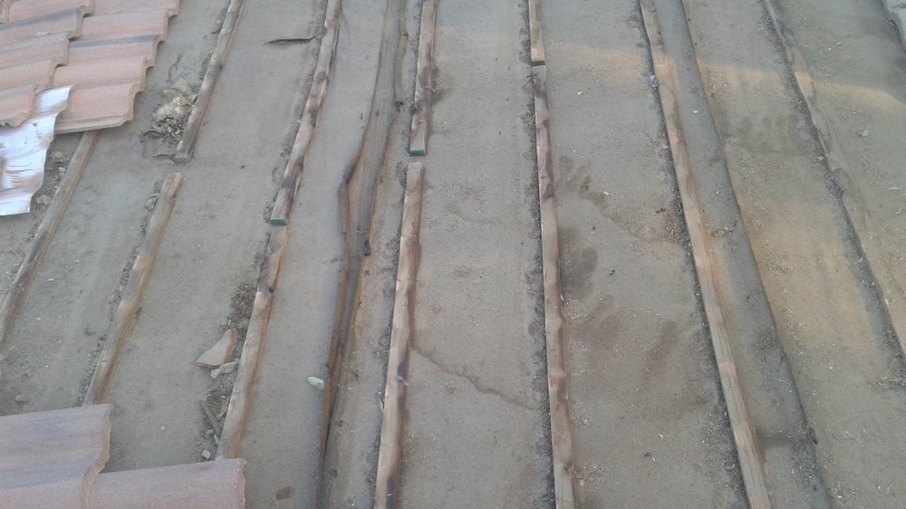 Slide of K & S Trejo