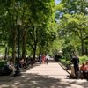 Rittenhouse Square District gift card