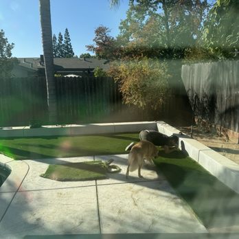 Sierra Turf and Greens - Artificial Turf Near Me Sierra Turf and Greens - Artificial Turf Near Me