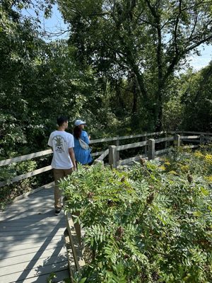 Jamaica Bay Wildlife Refuge by null