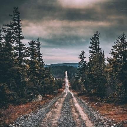 Cross Country Land Services - tree service in Jay, ME