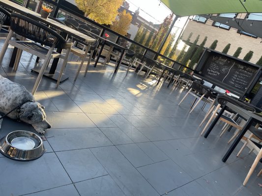 Stella Modern Italian Cuisine by null