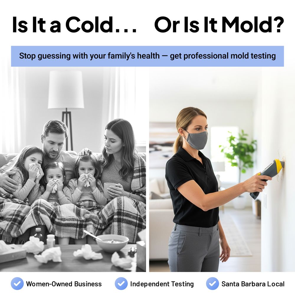 Advanced Clean Air Solutions - mold inspector in Santa Barbara, CA