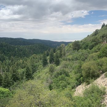 Cloudcroft Brewing Company - Hiking - Pizza Near Me - Cloudcroft, New Mexico