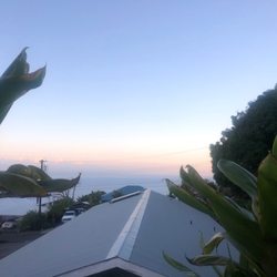 Pineapple Park Hostel - Kona - View from the back deck