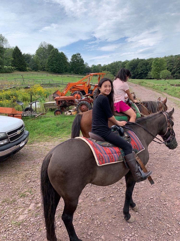 DAISY FIELD FARM Updated August 2024 47 Photos & 35 Reviews 542