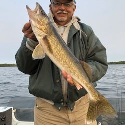 Sleepy Hollow Resort - June 2019 Island Lake, Sleepy Hollow Resort