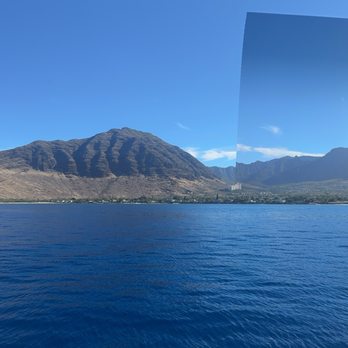 Dolphins and You - Boat Charters Near Me - Honolulu, Hawaii Dolphins and You - Boat Charters Near Me - Honolulu, Hawaii