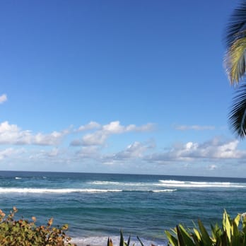 Laniakea Beach - Beaches Near Me - Haleiwa, Hawaii Laniakea Beach - Beaches Near Me - Haleiwa, Hawaii