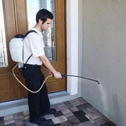 Budget Professional Services