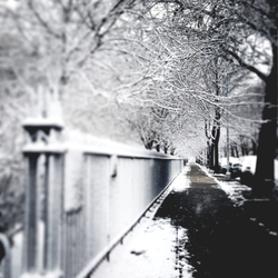Fulton Park - Entrance to Fulton Park on Chauncey and Stuyvesant.