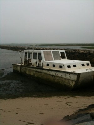 Long Point Beach by null