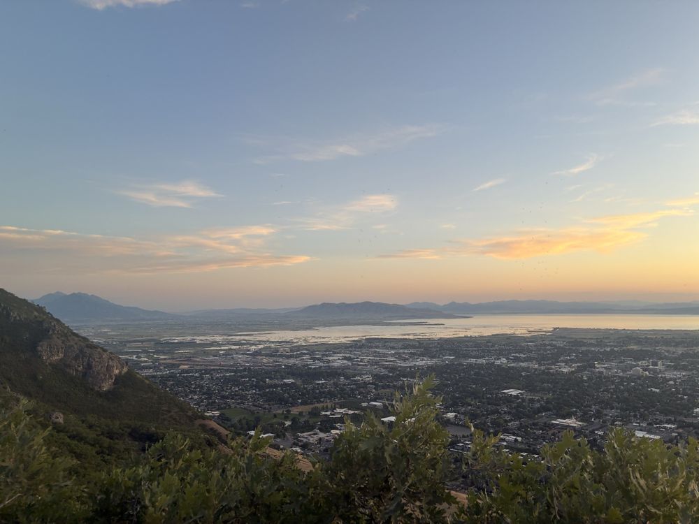 Social spots from The Y