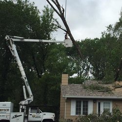 Cooke's Tree Service 1