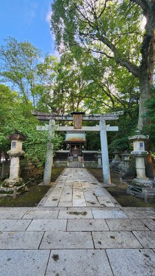 Kitano Tenmangu Shrine by null