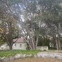Photo of Rispin Mansion