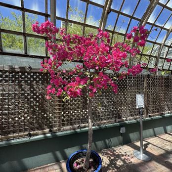 Lincoln Park Conservatory - Parks Near Me - Chicago, Illinois