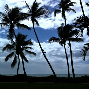 Copamarina Beach Resort & Spa - Near the outdoor bar/restaurant - Hotels Near Me - Guanica, Puerto Rico Copamarina Beach Resort & Spa - Near the outdoor bar/restaurant - Hotels Near Me - Guanica, Puerto Rico