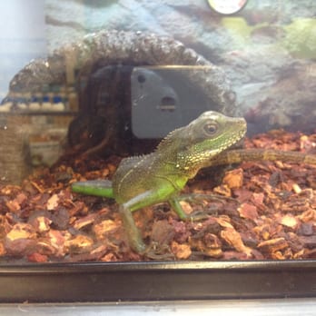 Petco - Pet Stores Near Me - Lawton, Oklahoma