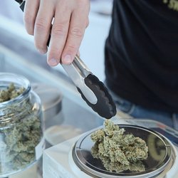 420FORME - Grey Tongs And Kush