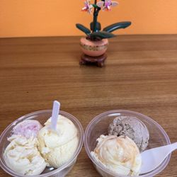 Third Bowl Homemade Ice Cream